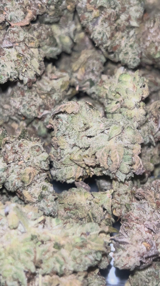 GG4